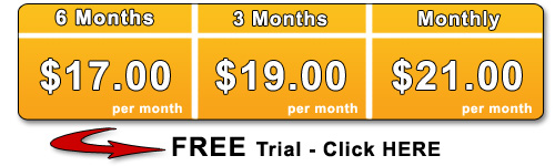 Website templates priced as low as $17 per month!